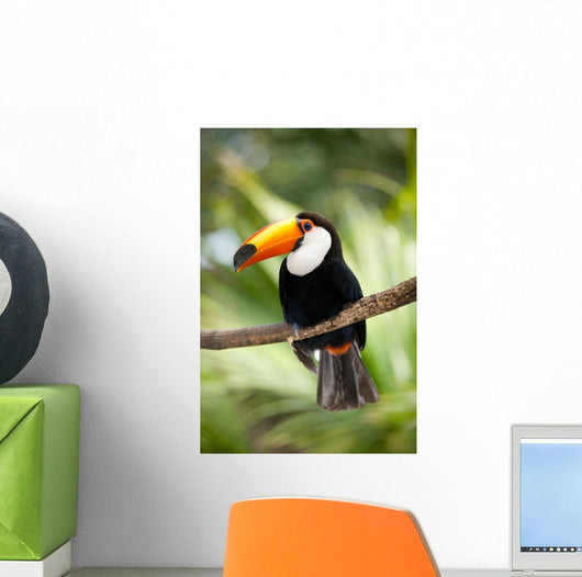 Toco Toucan in deep forest vegetation Wall Mural