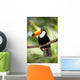 Toco Toucan in deep forest vegetation Wall Mural