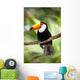 Toco Toucan in deep forest vegetation Wall Mural