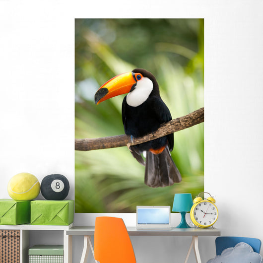Toco Toucan in deep forest vegetation Wall Mural