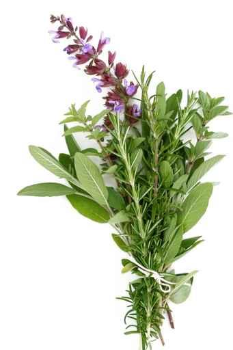 fresh herbs - rosemary, sage, oregano Wall Decal