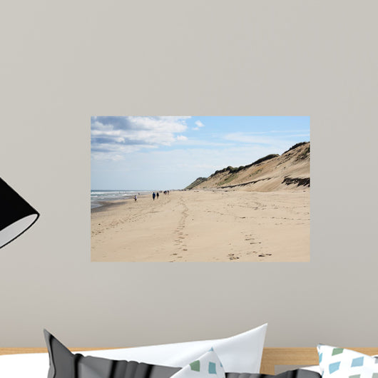 Broad Beach Cape Cod Wall Mural