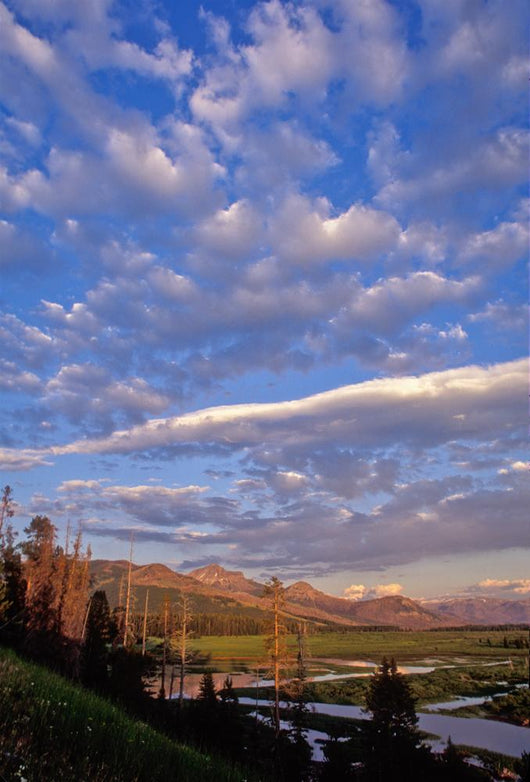 Rich Reds Colter Peak Wall Mural
