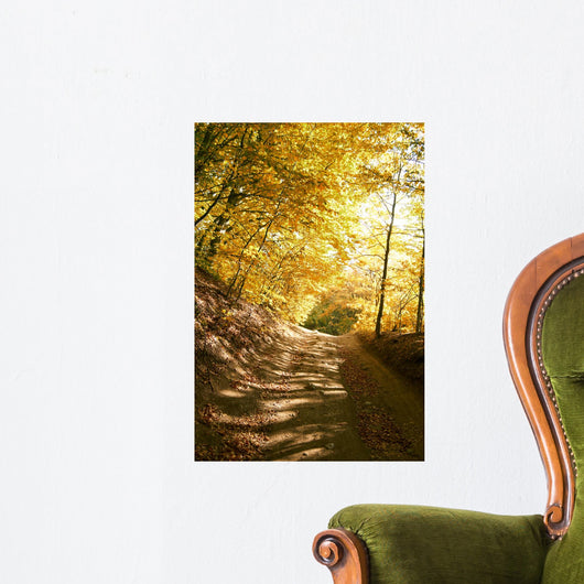 Autumn Park Road