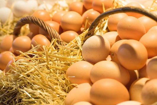 Eggs Wall Mural