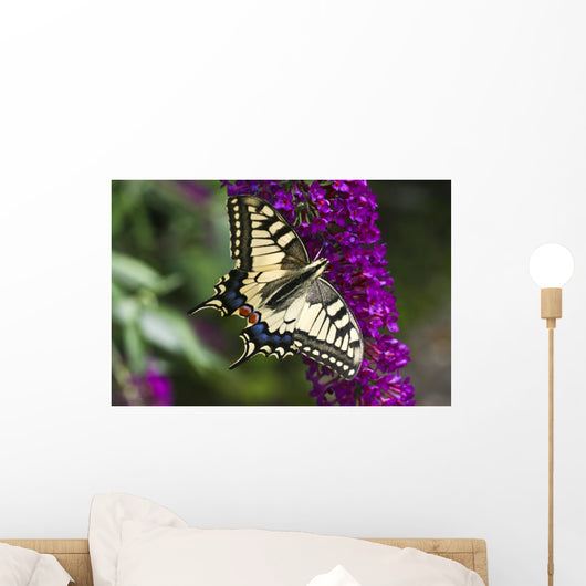 Dovetail Wall Mural
