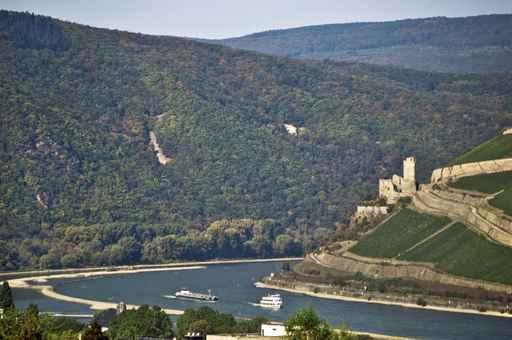 Bingen Panorama Wall Mural