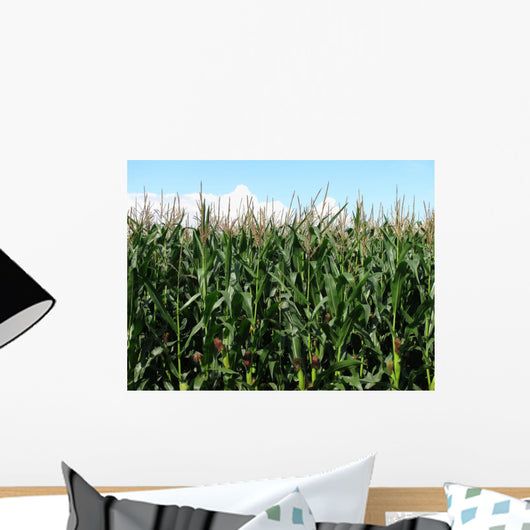 Corn Wall Mural
