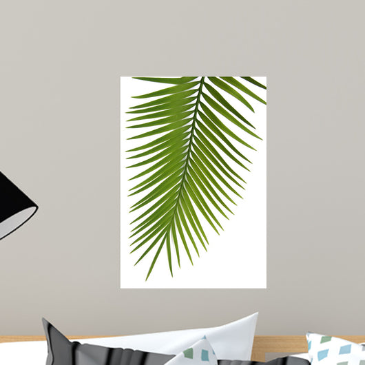Palme Fond Blanc