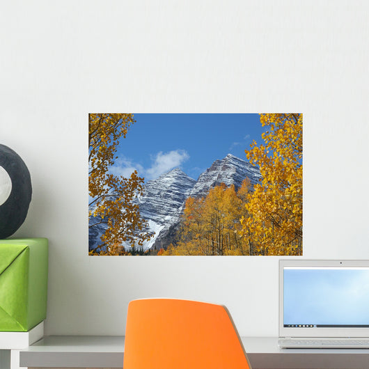 Maroon Bells and Golden Aspens Wall Mural