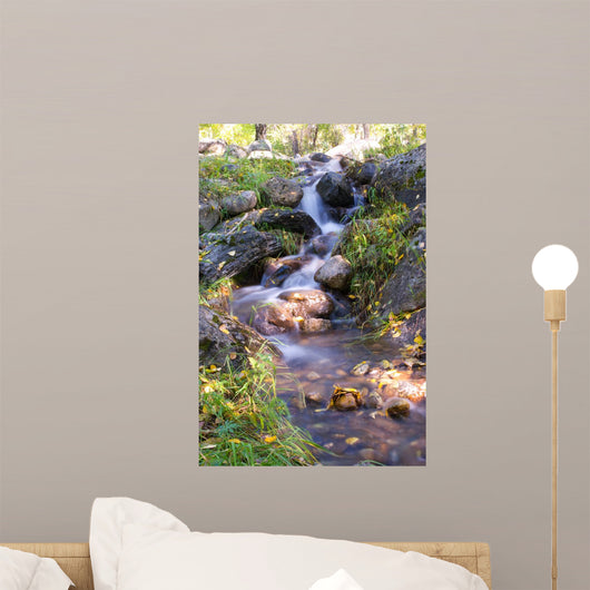 Autumn Water Stream Wall Mural