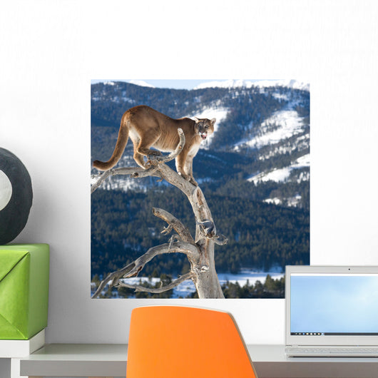 Mountain Lion od Dead Tree Snag Wall Mural