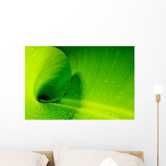 Banana leaf Wall Mural