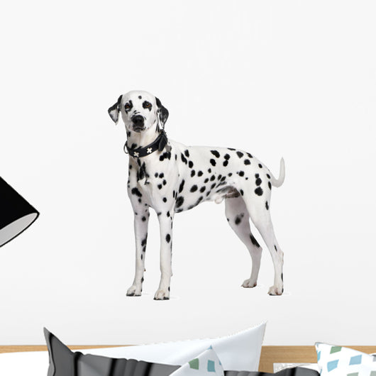 Dalmatian Wall Decal