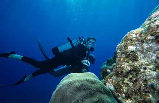 Scuba Diving Wall Decal