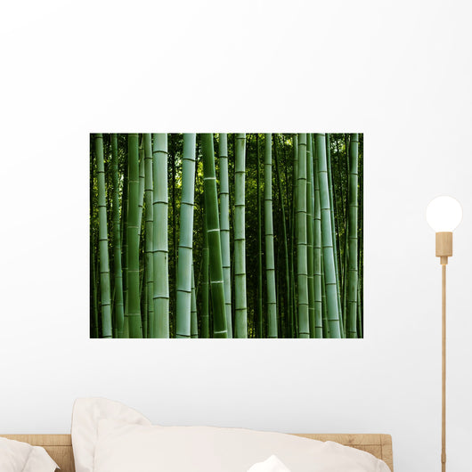Bamboo
