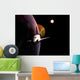 The space ship Wall Mural