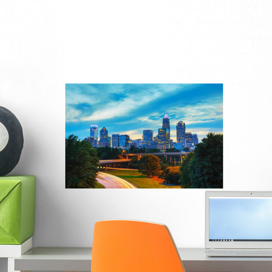 Overview Downtown Charlotte NC Wall Decal