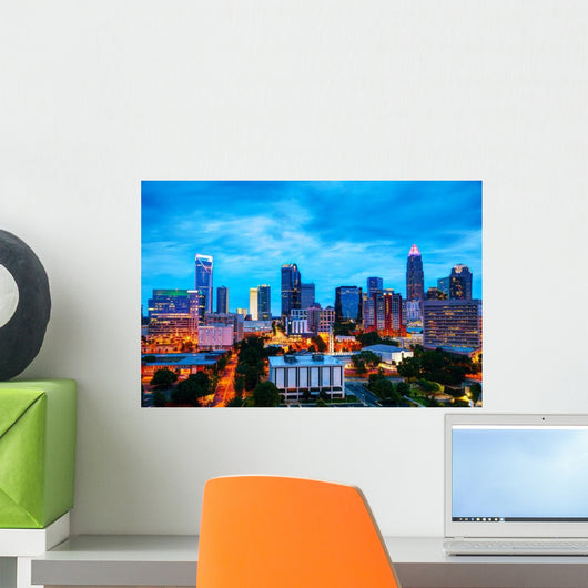 Overview Downtown Charlotte NC Skyline Wall Decal