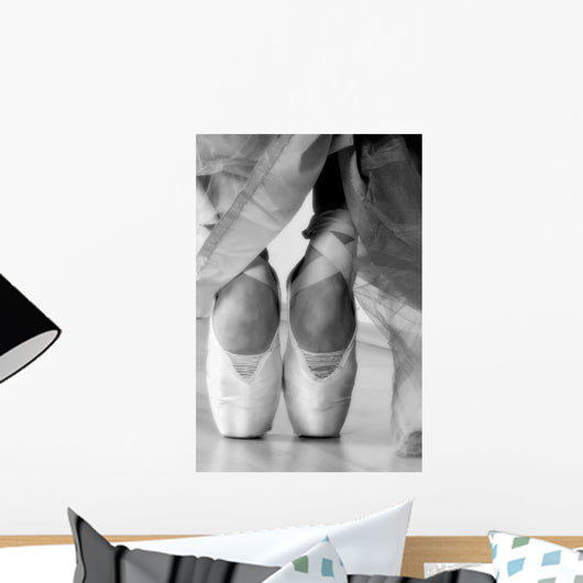 Ballet Shoes Wall Mural
