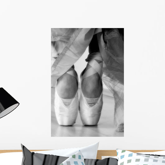 Ballet Shoes Wall Mural