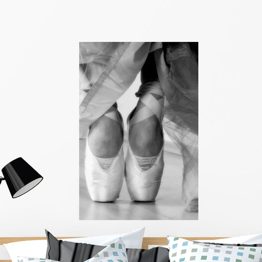 Ballet Shoes Wall Mural