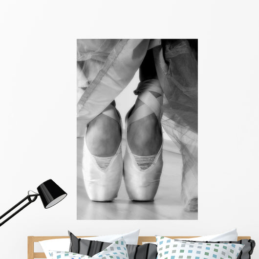 Ballet Shoes Wall Mural