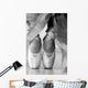 Ballet Shoes Wall Mural