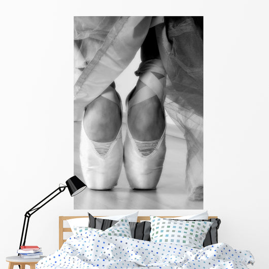 Ballet Shoes Wall Mural