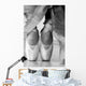 Ballet Shoes Wall Mural