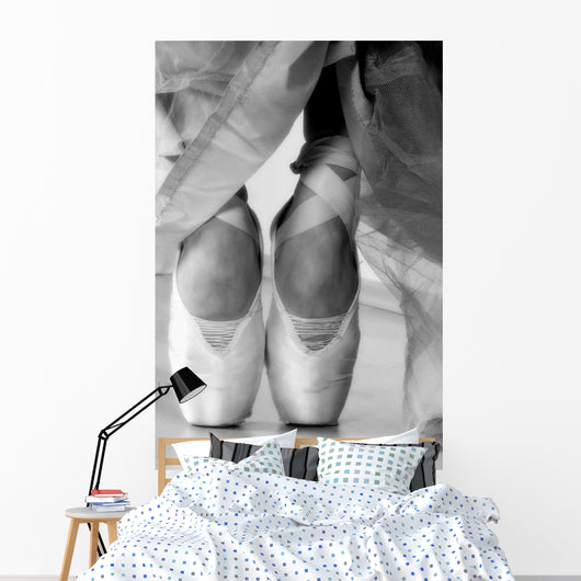 Ballet Shoes Wall Mural