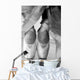 Ballet Shoes Wall Mural