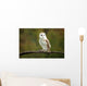 Barn Owl Wall Mural