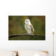 Barn Owl Wall Mural