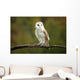 Barn Owl Wall Mural