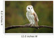 Barn Owl Wall Mural