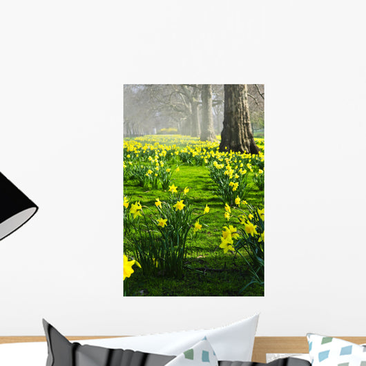 Daffodils in St. James's Park Wall Mural