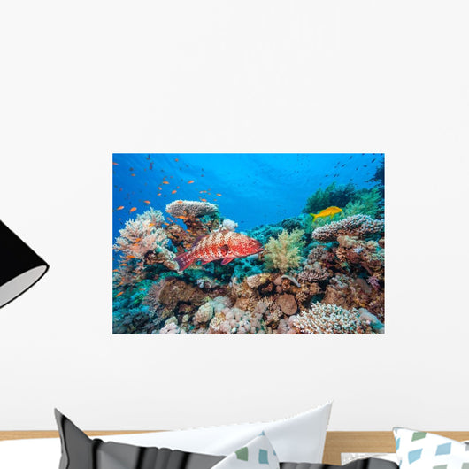Coral Grouper Tropical Reef Wall Decal