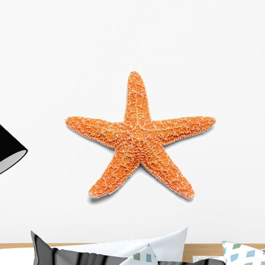 Orange Starfish Wall Decal