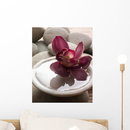 Orchid Close-up Bottom Pebbles Wall Mural