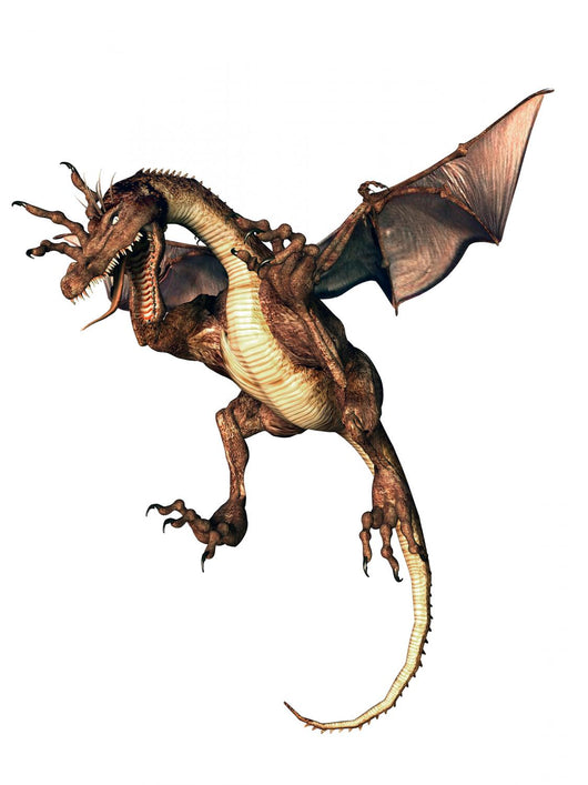 Angry Brown Dragon Wall Decal