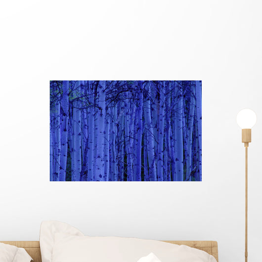 Trees At Night Wall Mural