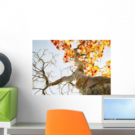 Tree With Half Of The Leaves Missing Wall Mural