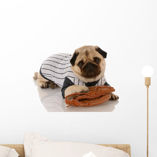 pug dog baseball Wall Decal