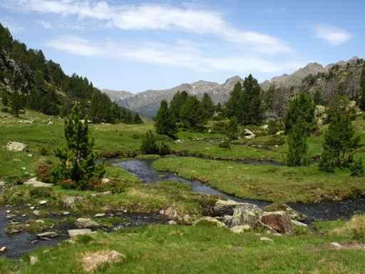 River Mountains Meadow Wall Mural