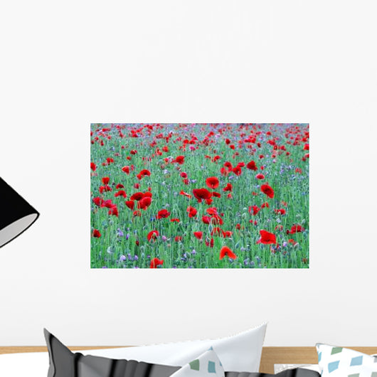 Poppies Wall Decal