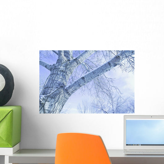 Trees In Winter Wall Mural