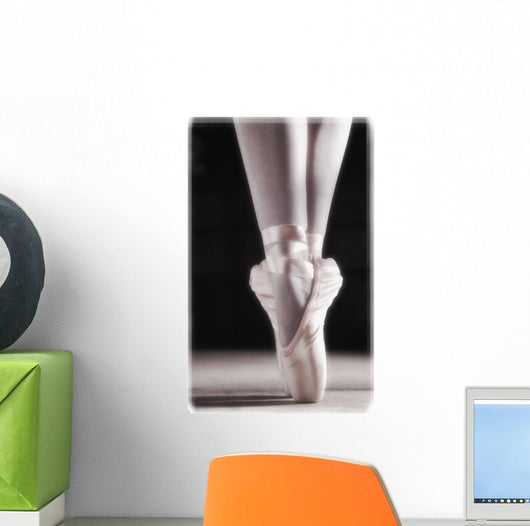 Ballet Slippers Wall Mural