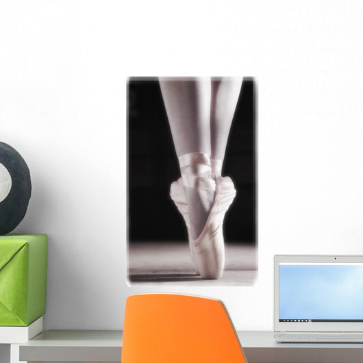 Ballet Slippers Wall Mural