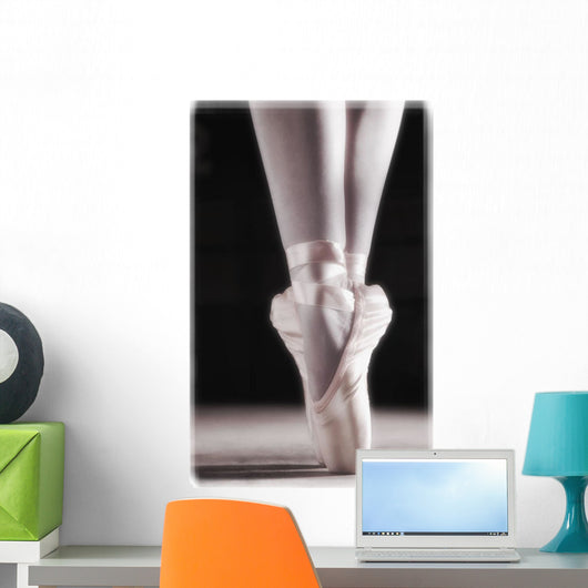 Ballet Slippers Wall Mural